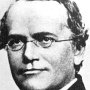 Gregor Mendel